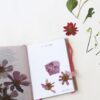 Pocket Herbarium - Afbeelding 2