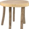 Boomstamtafel - Afbeelding 2